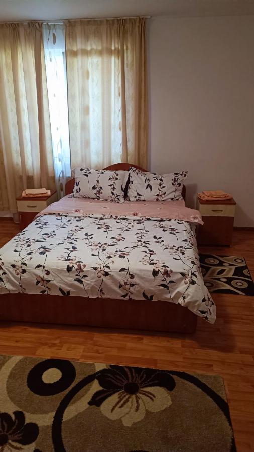Pensiunea Dumbravita Dumbrava  Bagian luar foto